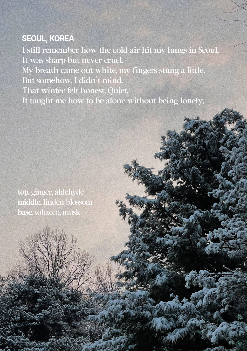 Dear Winter