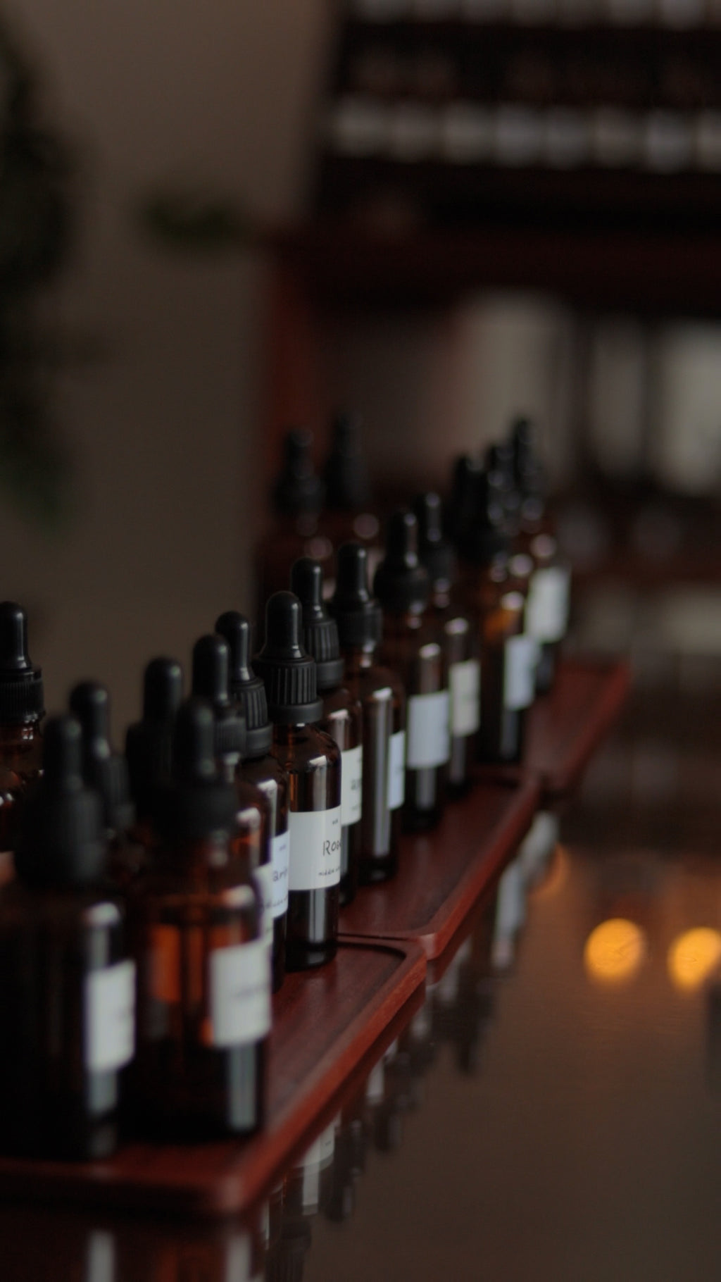Private Perfume Workshop in Auckland, Sok Studios