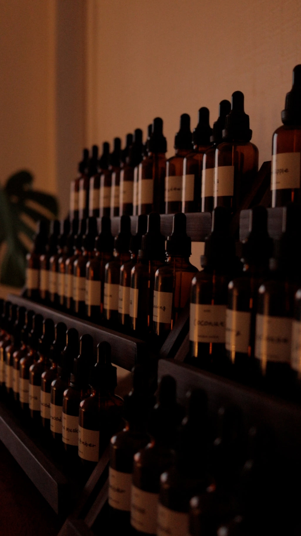 Private Perfume Workshop in Auckland, Sok Studios