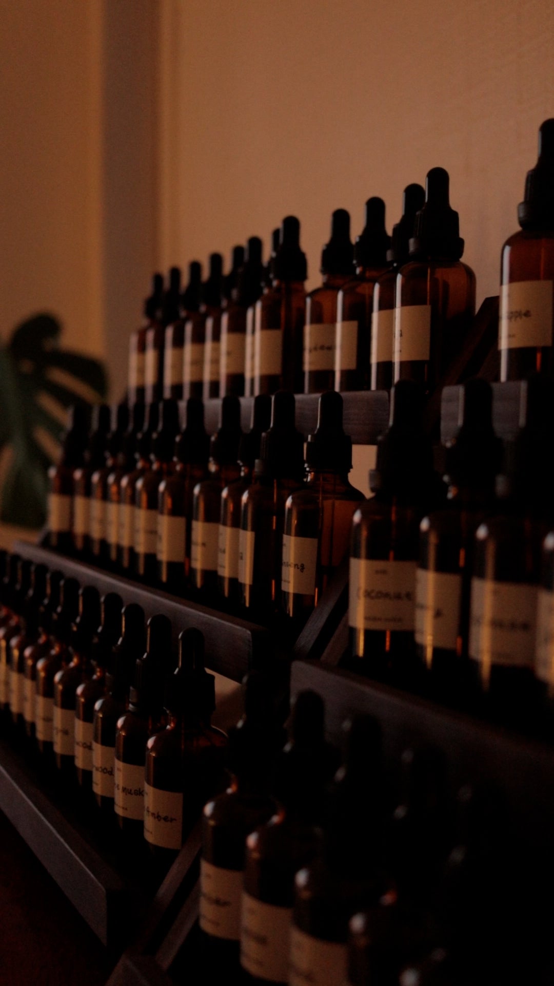 Private Perfume Workshop in Auckland, Sok Studios