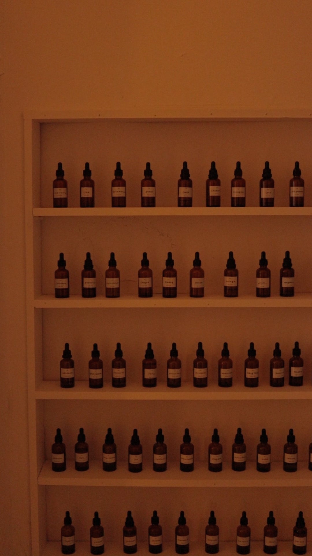 Private Perfume Workshop in Auckland, Sok Studios