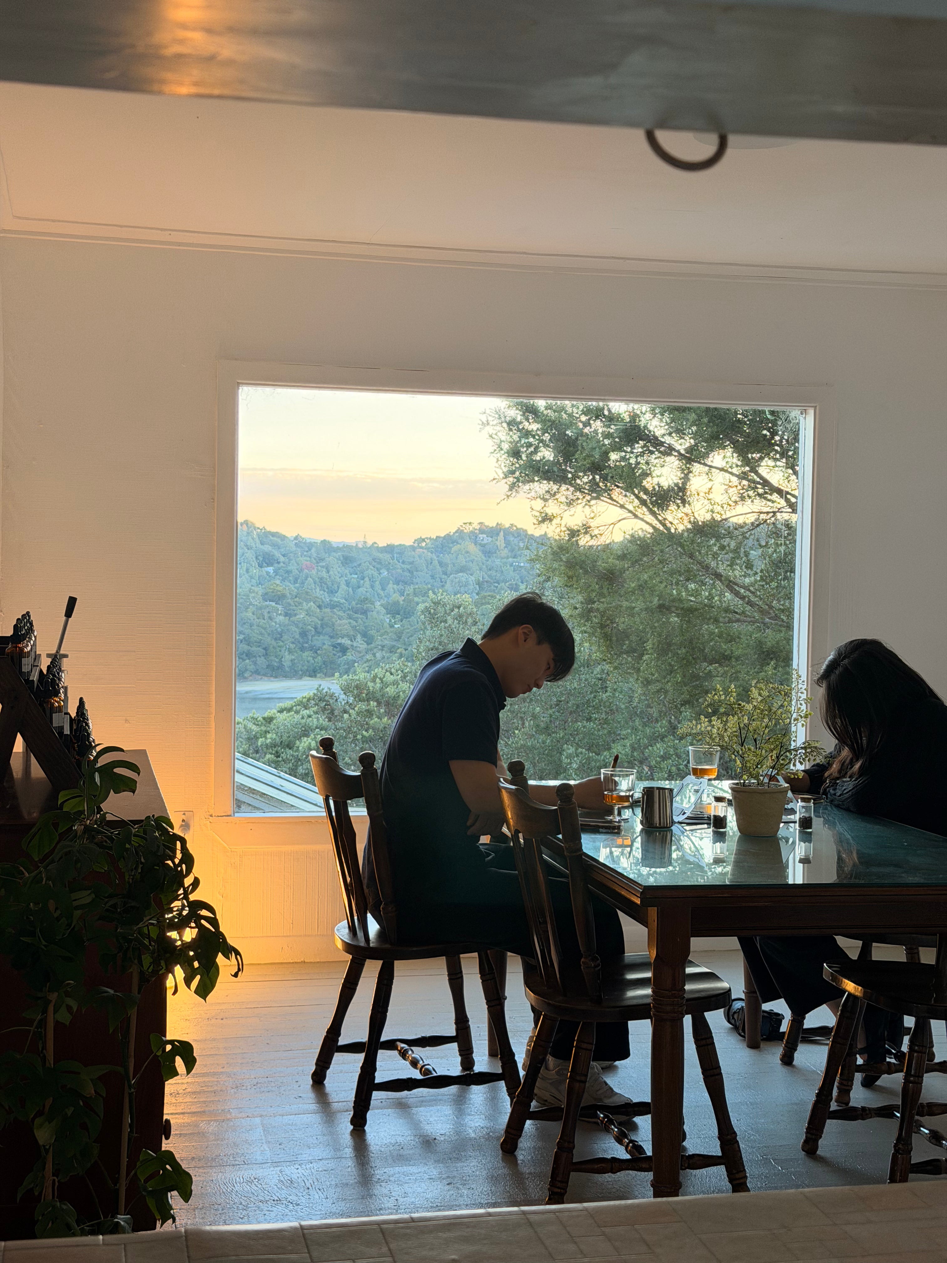 Perfume Workshop in Auckland, Sok Studios