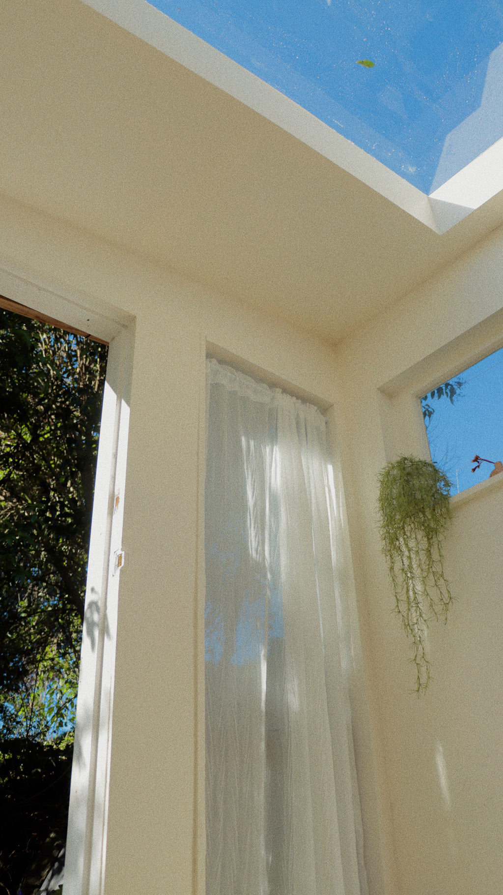 Soft daylight filtering through a sheer curtain and skylight in a calm corner of perfume workshop SOK Studios, with hanging greenery and blue sky above.